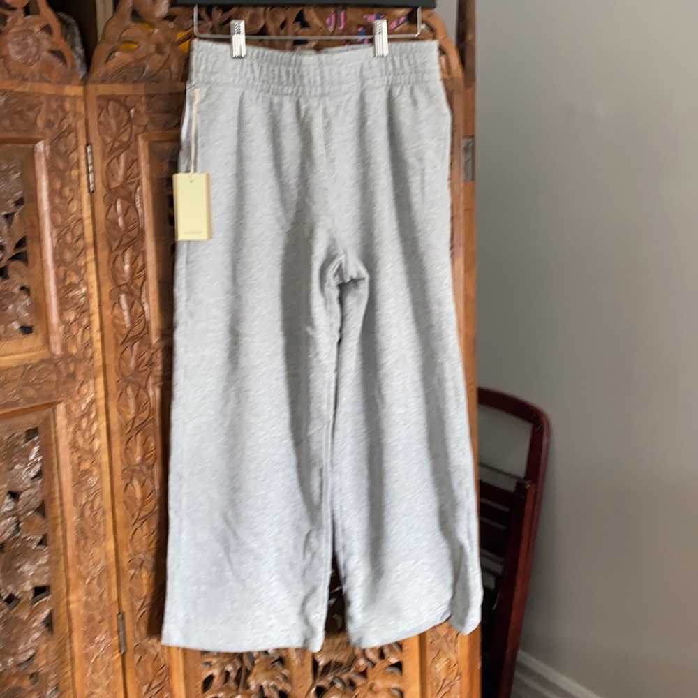 Aritzia Williamette sweatpants